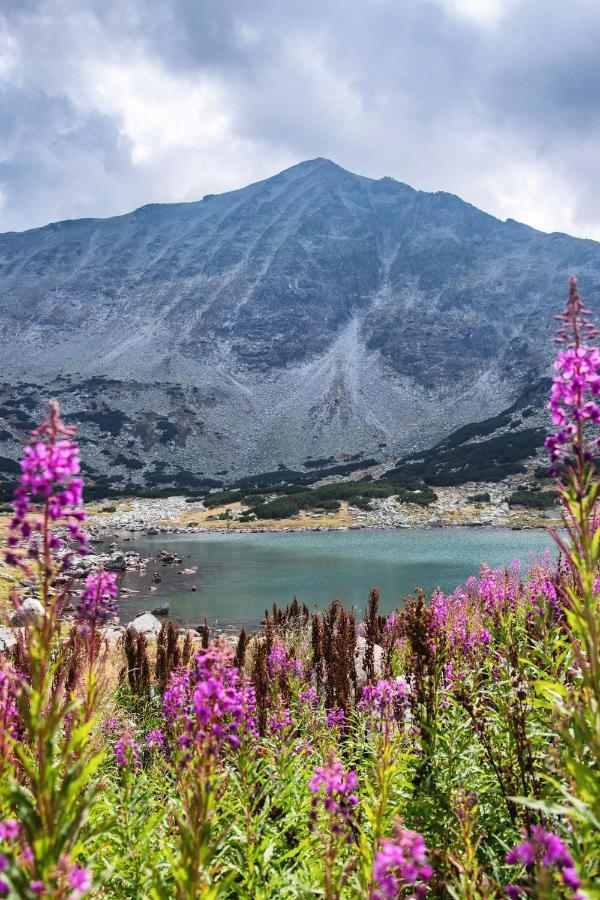 Borovets Gardens B30 Morunov Apart Экстерьер фото